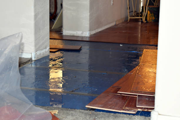 Professional Flood Damage Repair technician working in Van Buren, AR